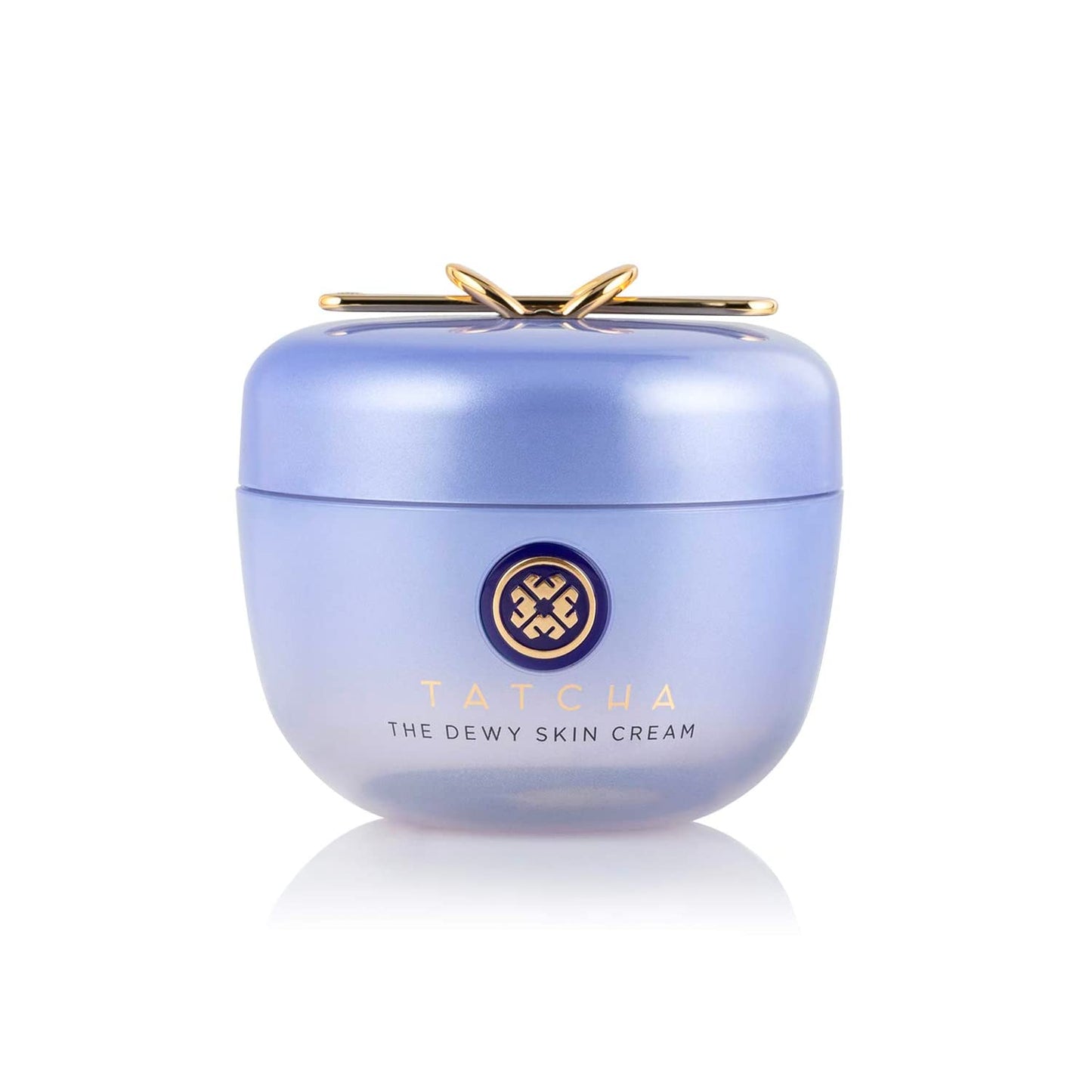 the Dewy Skin Cream | Rich Face Cream to Hydrate, Plump and Protect Dry and Combo Skin,