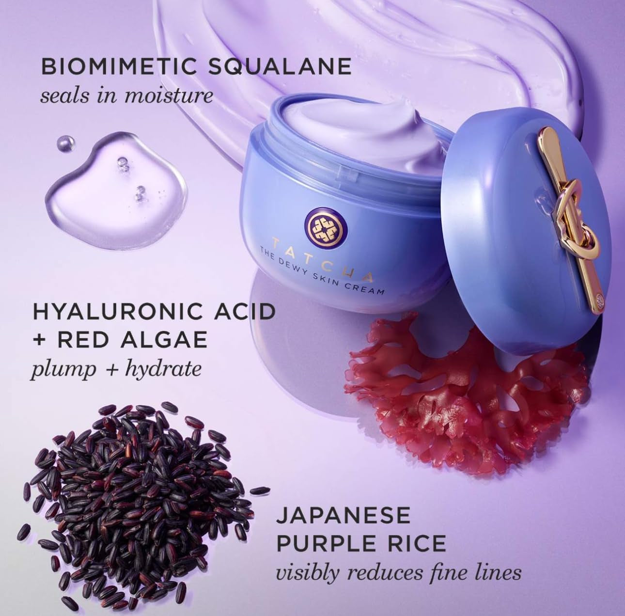 the Dewy Skin Cream | Rich Face Cream to Hydrate, Plump and Protect Dry and Combo Skin,