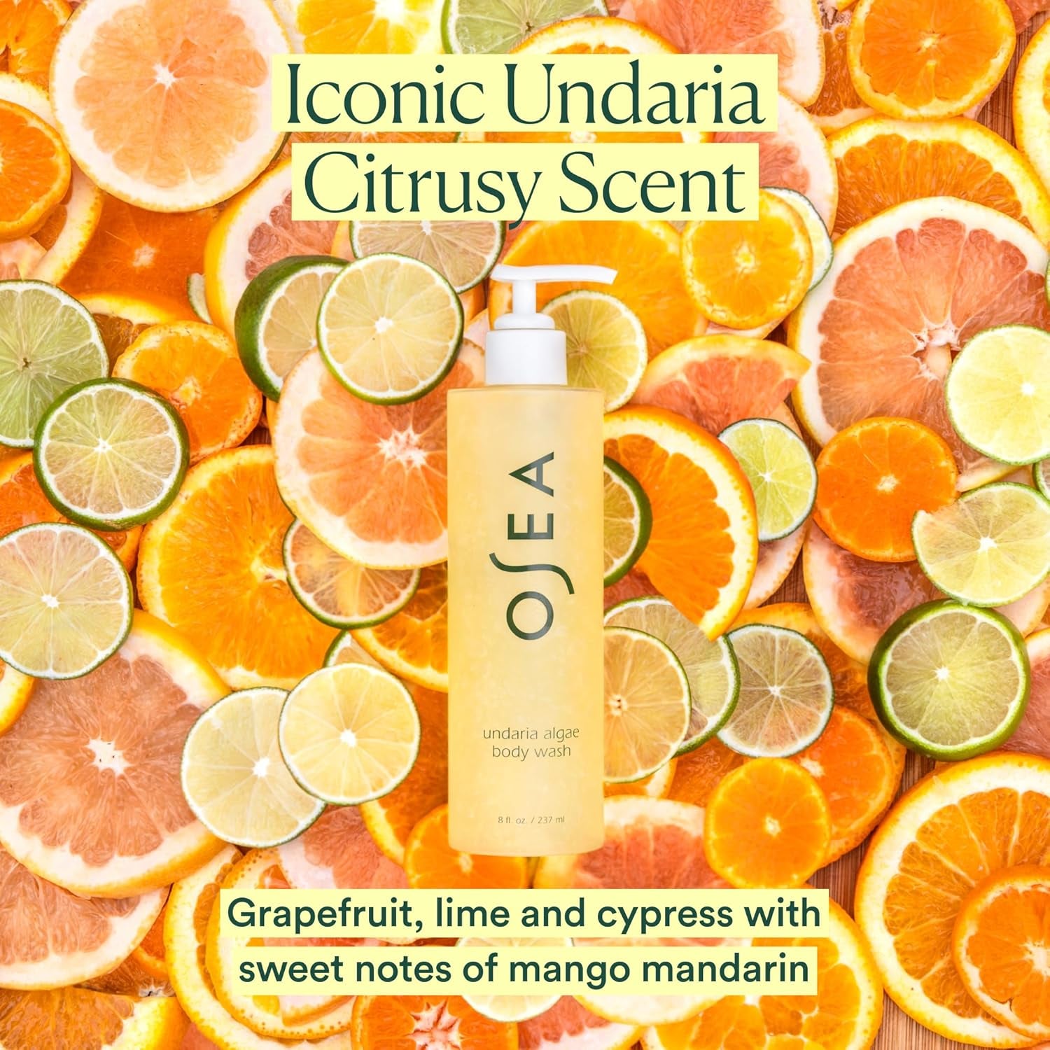 Undaria Cleanse & Glow Duo - Undaria Algae Body Oil & Undaria Algae Body Wash
