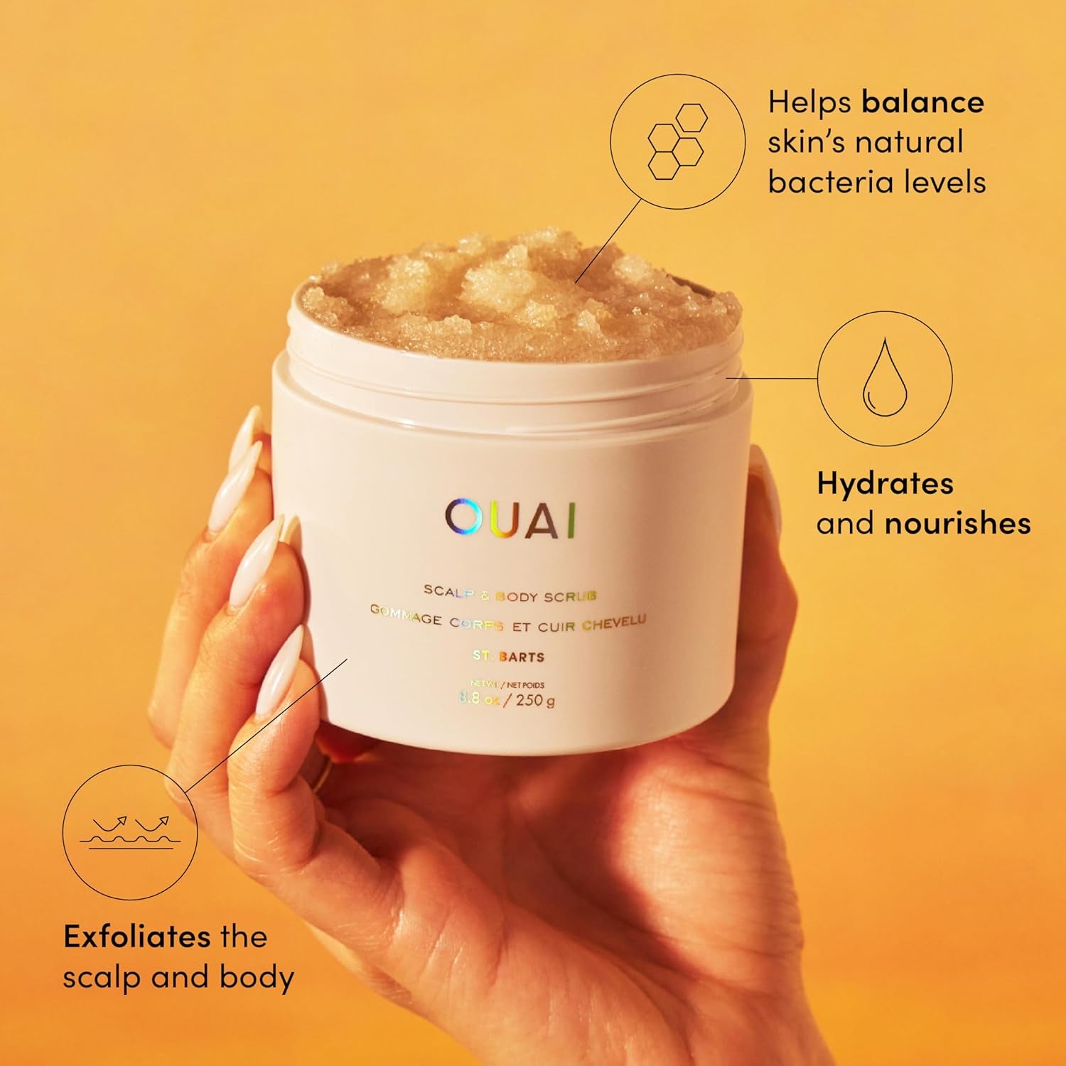 Scalp & Body Scrub, St. Barts - Exfoliating Body Scrub with Sugar & Coconut Oil Blend for Smooth, Moisturized Skin - Gentle Scalp Exfoliator for Removing Product Build up (8.8 Oz)