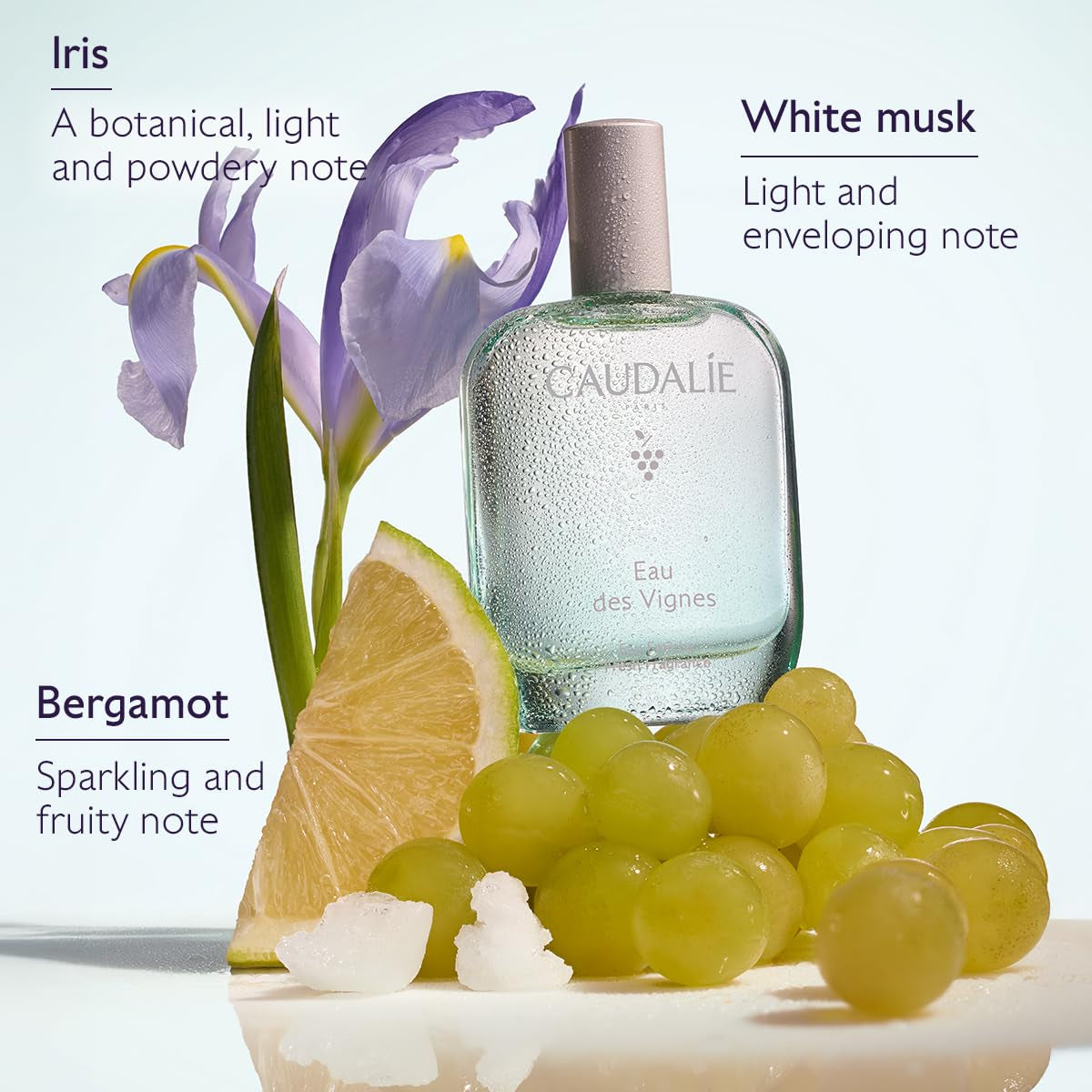 Eau Des Vignes Fresh Fragrance - 50 Ml