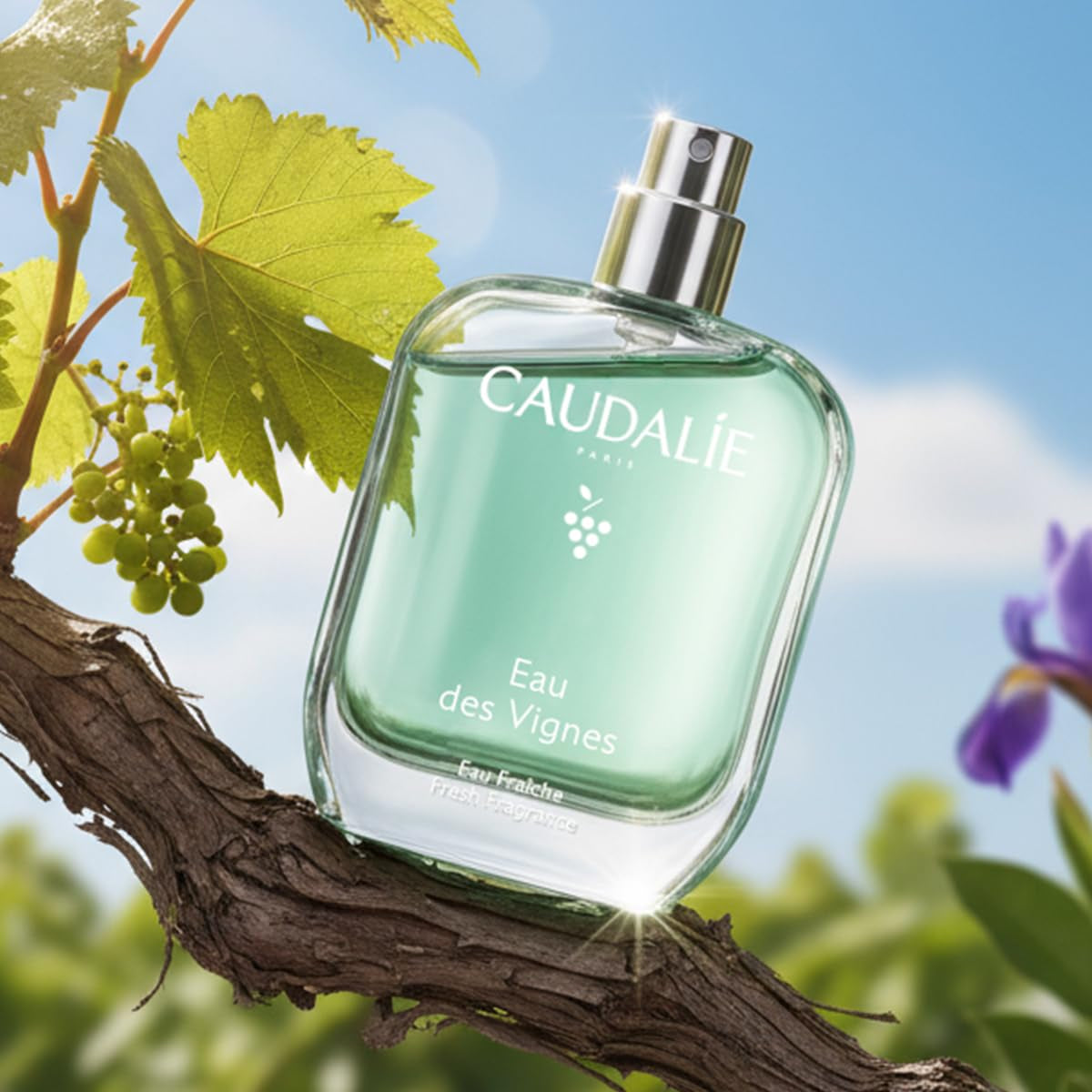 Eau Des Vignes Fresh Fragrance - 50 Ml