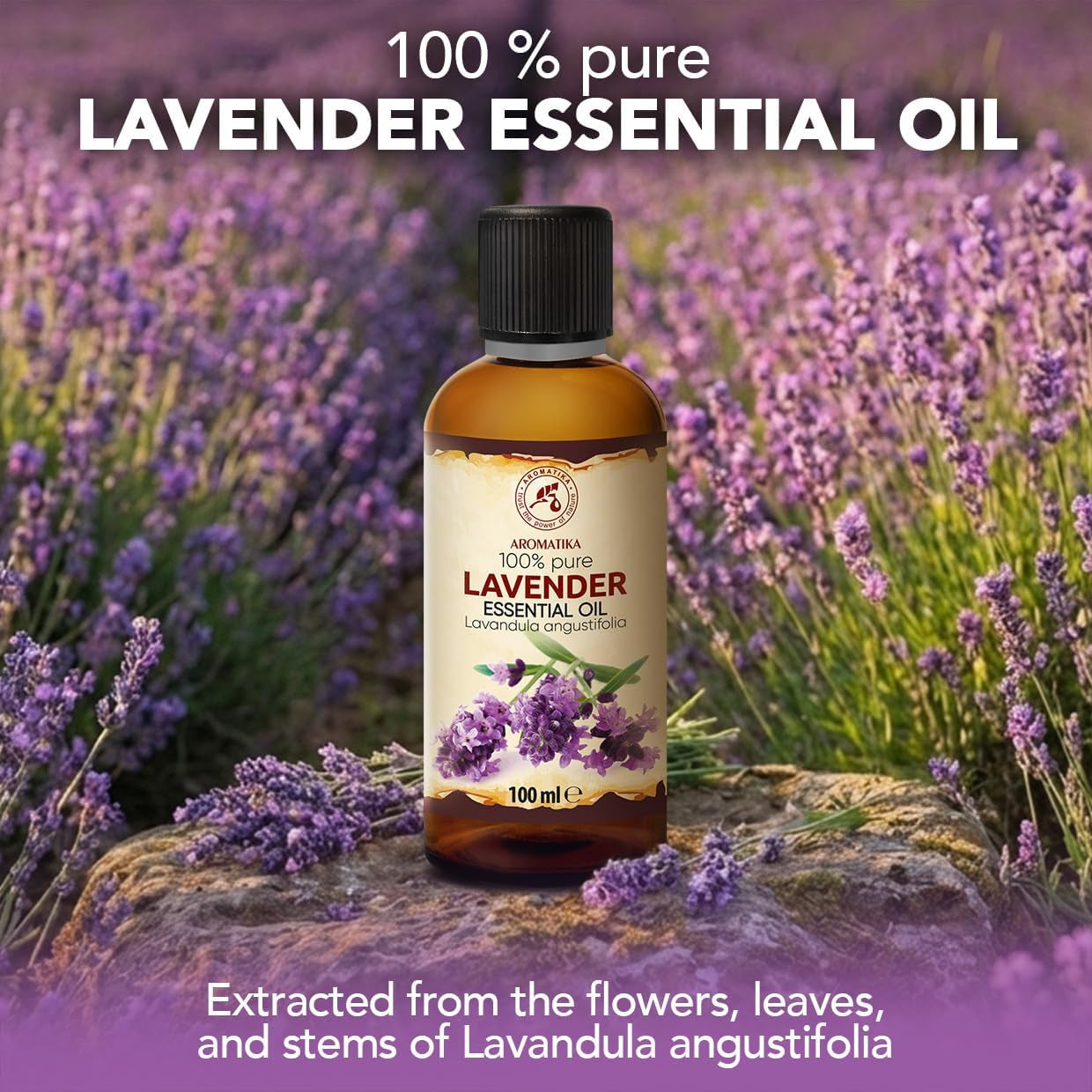 Lavender Essential Oils 6.8 Fl Oz for Diffusers - Aromatherapy - Pure Lavender Oil - Fragrance Oil for Sleep - Skin Care - Body - Hair