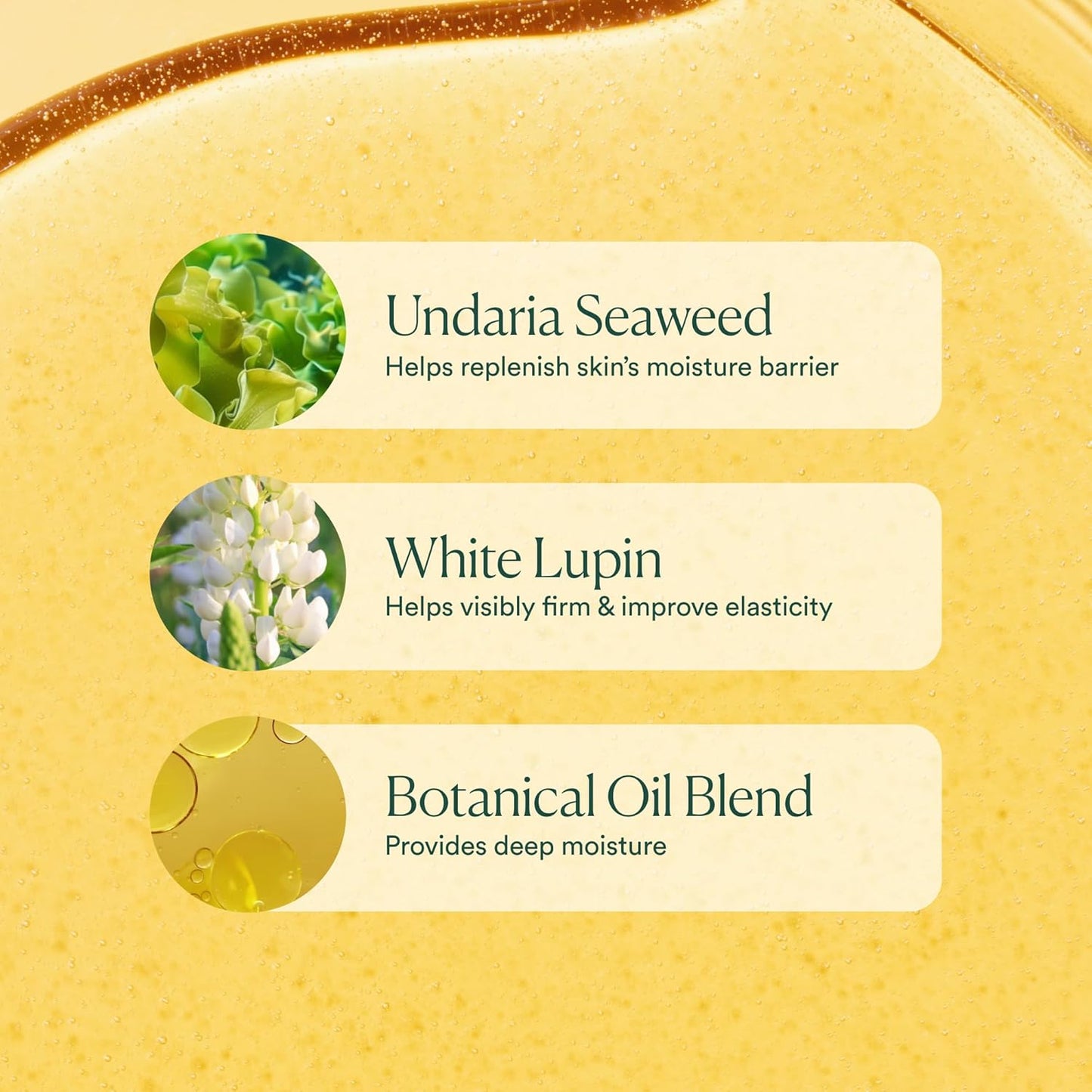Undaria Algae Body Oil 5 Oz – Visibly Firming, Deeply Moisturizing, Instantly Improve Elasticity, Clean Lightweight Non-Greasy Hydration, Vegan & Cruelty-Free Seaweed Skincare