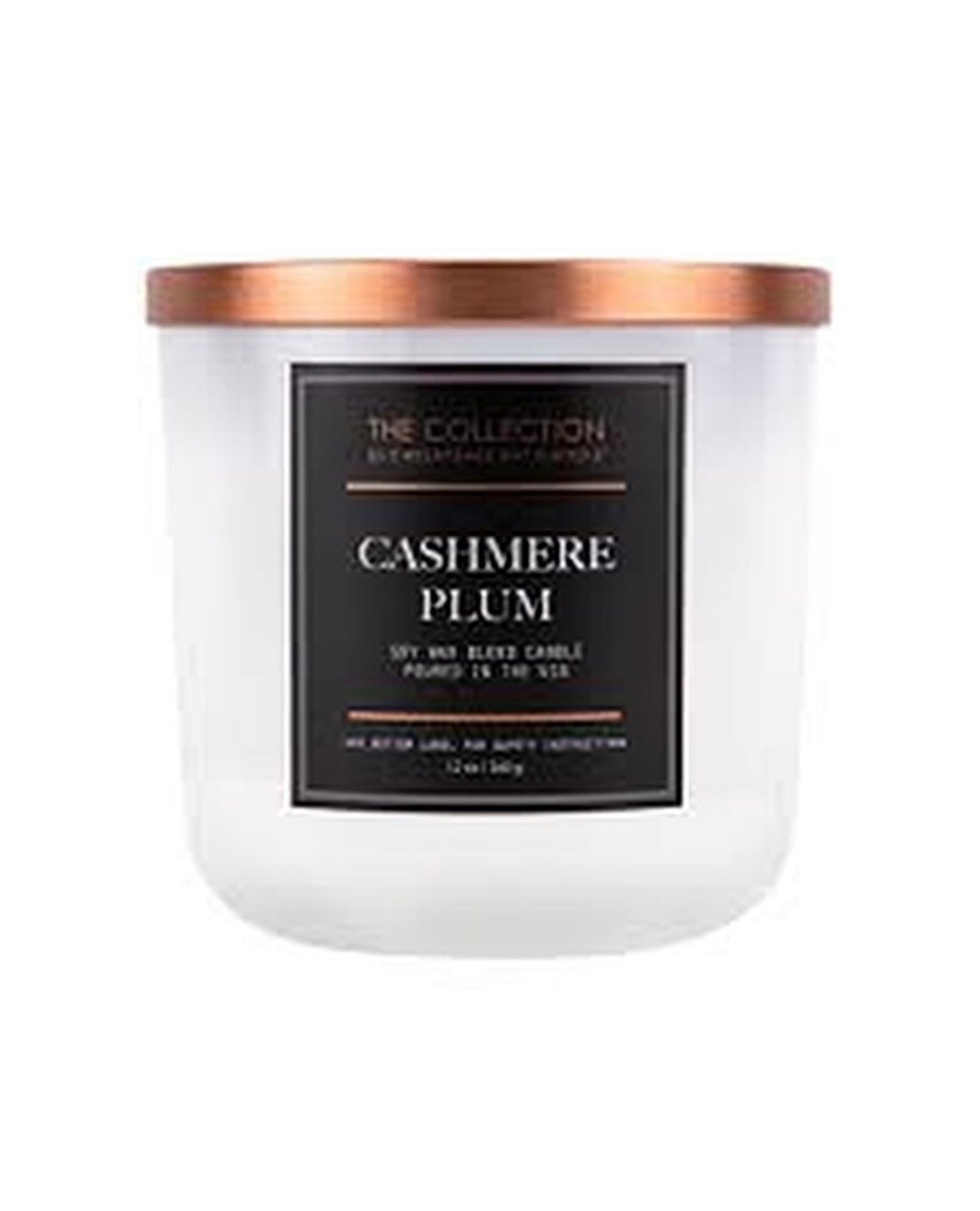 Cashmere Plum 2-Wick Candle (Medium Jar)