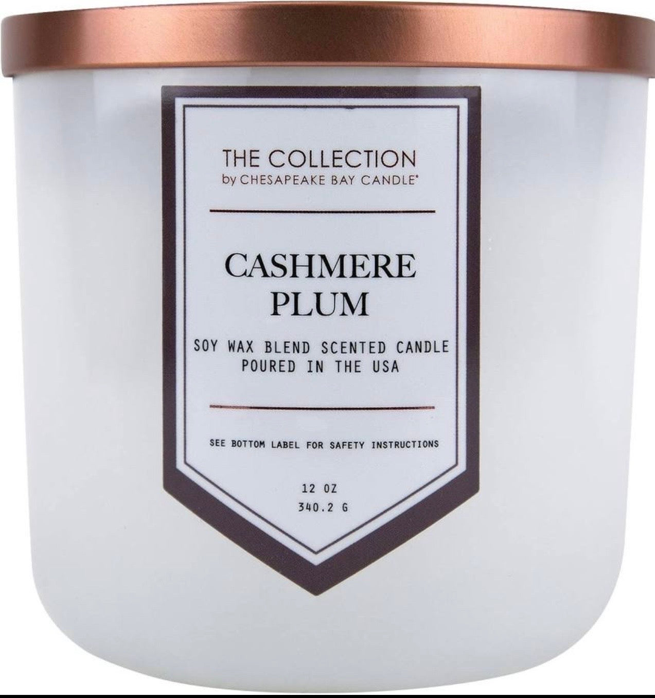 Cashmere Plum 2-Wick Candle (Medium Jar)