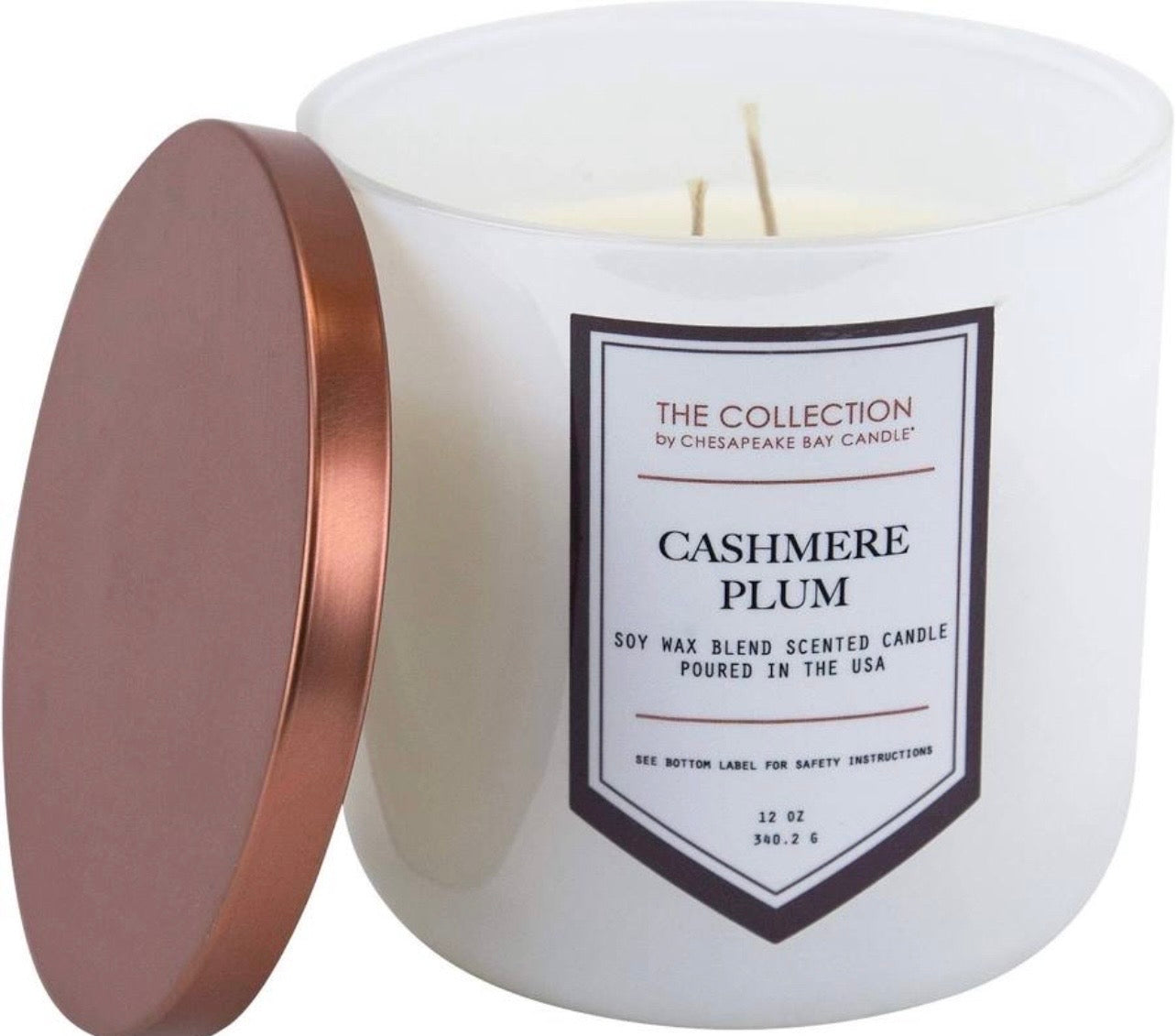 Cashmere Plum 2-Wick Candle (Medium Jar)