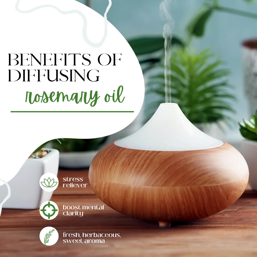 Rosemary Essential Oil - 1 Fl Oz (30 Ml) Glass Bottle W/ Euro Dropper - 100% Pure Essential Oil by
