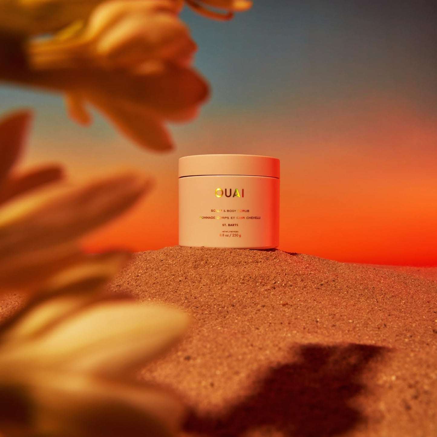 Scalp & Body Scrub, St. Barts - Exfoliating Body Scrub with Sugar & Coconut Oil Blend for Smooth, Moisturized Skin - Gentle Scalp Exfoliator for Removing Product Build up (8.8 Oz)